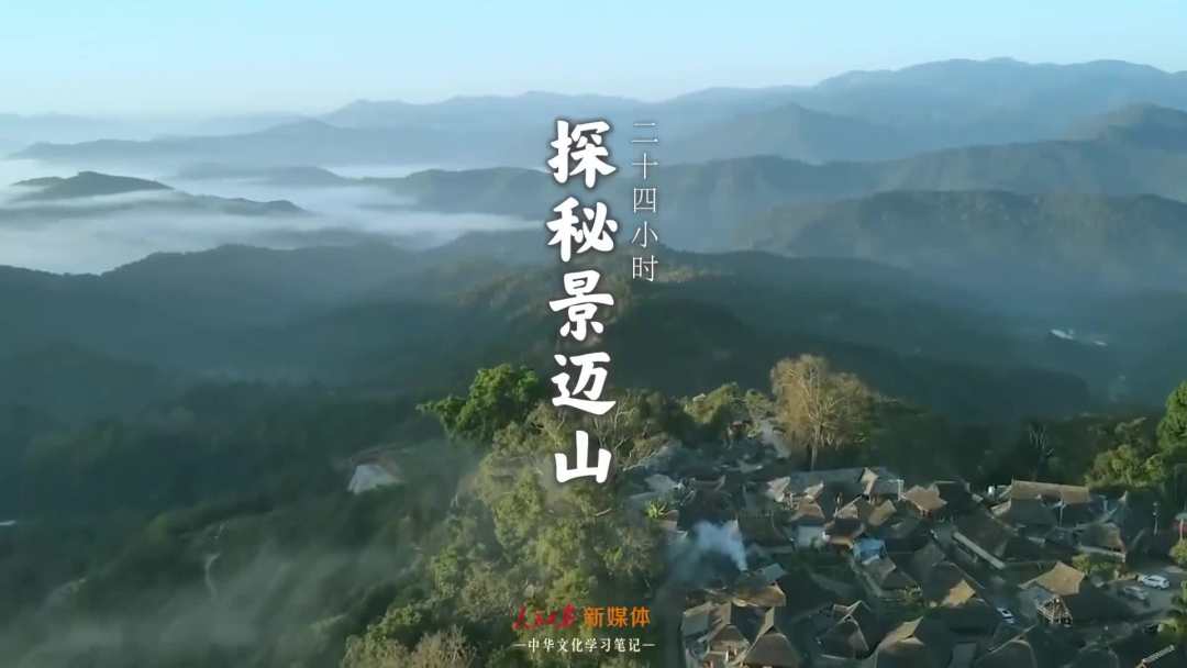 景邁山是個什么山？航拍云南普洱森林里的世界遺產