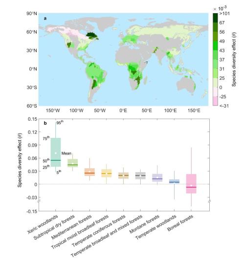 中國(guó)繪制世界首幅全球樹(shù)種多樣性對(duì)森林抵抗力影響空間分布圖