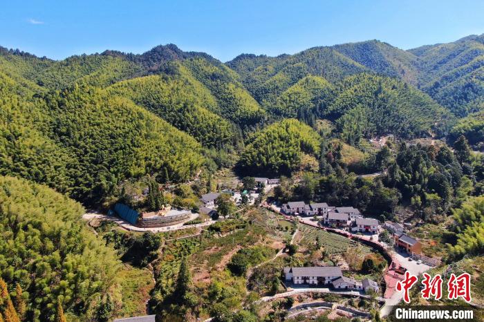 航拍江西井岡山市神山村，青山環(huán)繞，風(fēng)景秀美。　劉力鑫 攝