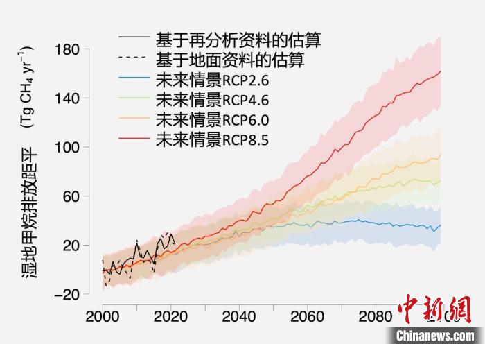 基于觀測的濕地甲烷排放變化與未來氣候變化情景下估算的對比?！≈锌圃呵嗖馗咴?供圖