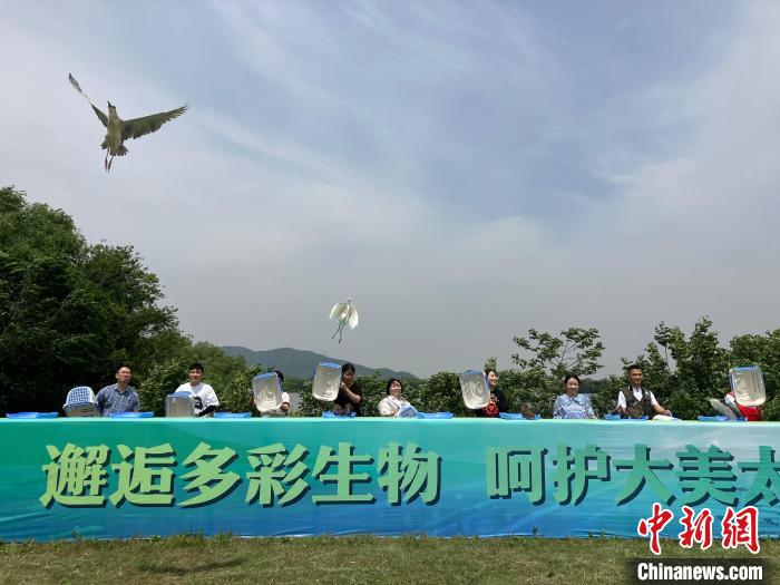 邂逅多彩生物環(huán)太湖“昆蒙框架”實(shí)施聯(lián)盟在浙江湖州成立