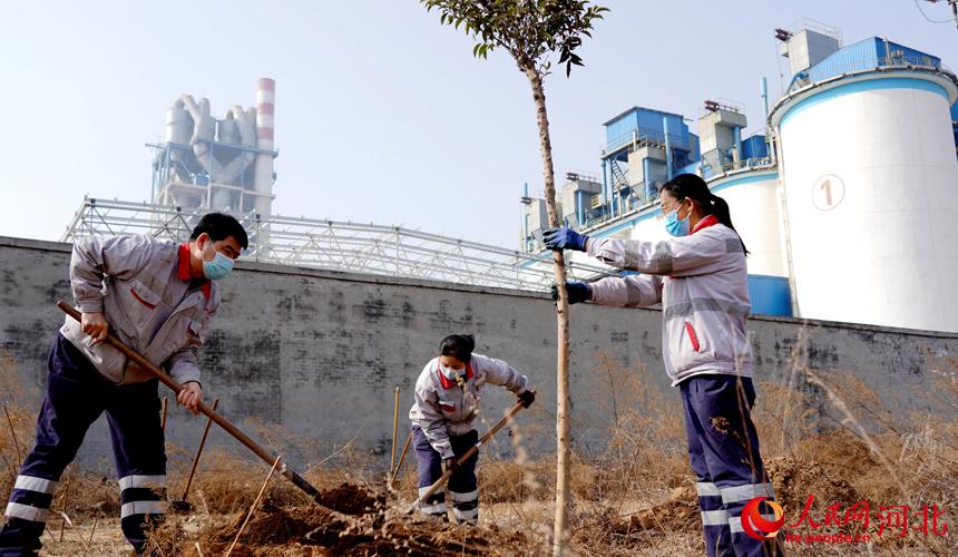 邢臺金隅職工在石邢公路沿線植樹。 宋繼昌攝