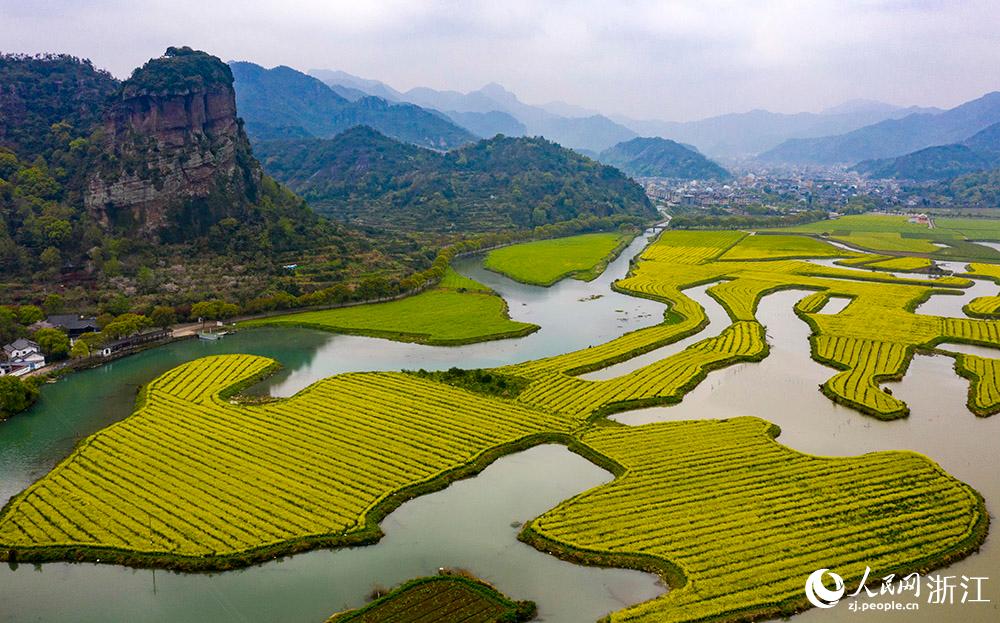 3月28日，航拍浙江省臨海市桃渚鎮(zhèn)桃江十三渚盛開(kāi)的油菜花景色。人民網(wǎng) 章勇濤攝