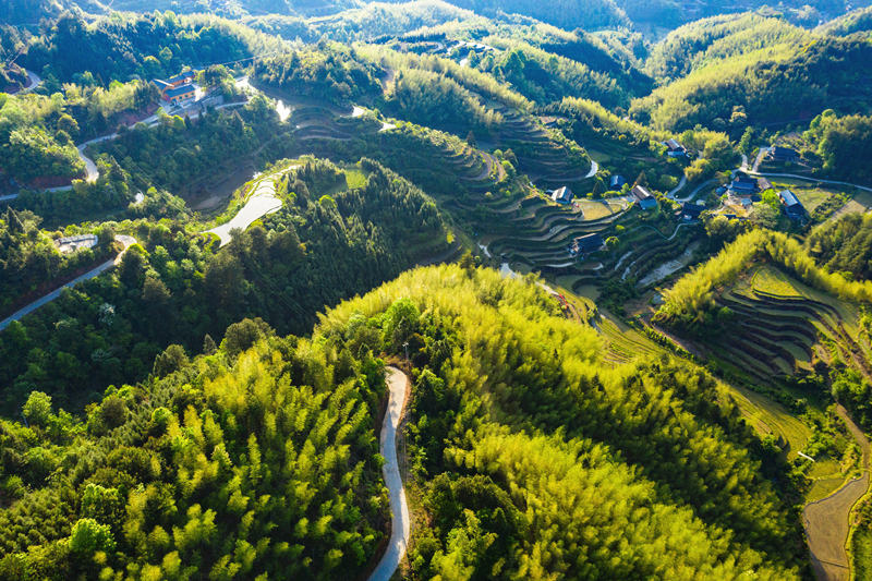 會(huì)同縣高椅鄉(xiāng)雪峰村的產(chǎn)業(yè)路盤旋在綠色的大山之間。田文國(guó)攝