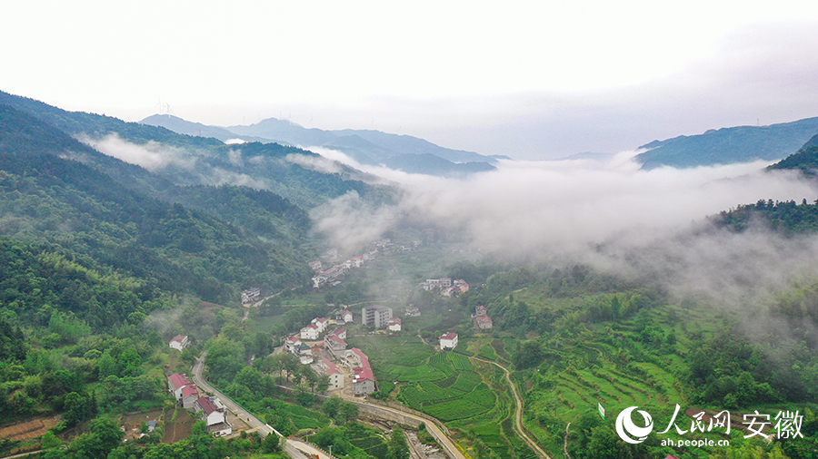 雨后的金寨大灣村，云霧環(huán)繞，宛如一幅田園山水畫卷。人民網(wǎng) 張俊攝