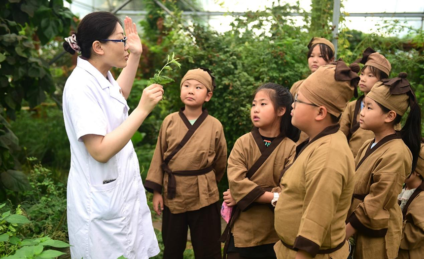 參加活動(dòng)的孩子聆聽滄州市人民醫(yī)院國醫(yī)館中醫(yī)對(duì)中藥材的講解。 傅新春攝