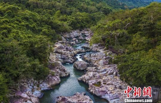 2018年海南生態(tài)環(huán)境狀況等級(jí)為“優(yōu)”，植被覆蓋率高，生物多樣性豐富，生態(tài)系統(tǒng)穩(wěn)定，圖為海南中部熱帶雨林?！●樤骑w　攝