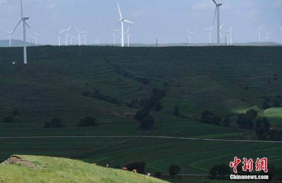 6月28日，河北張家口張北草原上大片風(fēng)力發(fā)電的“風(fēng)車”規(guī)模宏大。 中新社記者 楊艷敏 攝