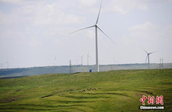 6月28日，河北張家口張北草原上大片風(fēng)力發(fā)電的“風(fēng)車”規(guī)模宏大。 中新社記者 楊艷敏 攝