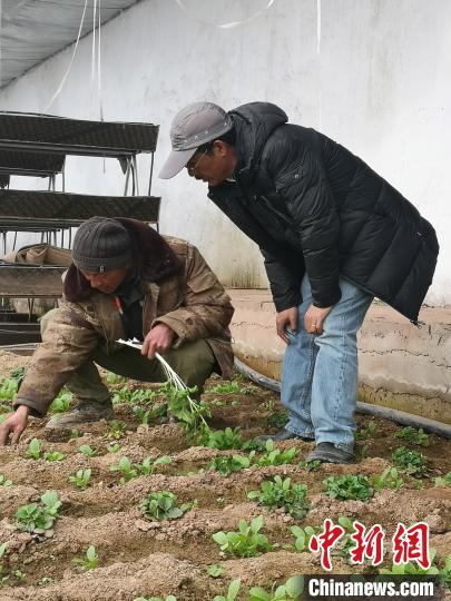 圖為尼瑪扎西(右)與西藏農(nóng)民聊天(資料圖)。西藏農(nóng)科院 供圖