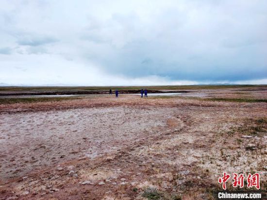 圖為救援力量在青海省西部搜救失聯(lián)的江蘇南京某大學女生黃某某。海西州藍天應急救援中心 供圖