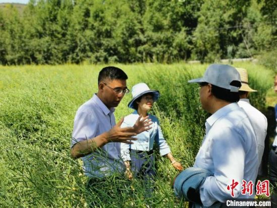 圖為九三學社青海省委主委杜德志(左一)在基層調(diào)研。受訪者供圖