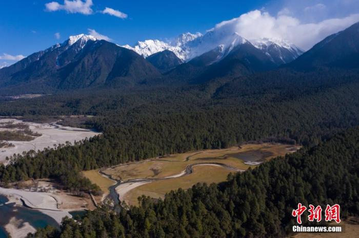 資料圖：西藏崗云杉林與遠處的雪峰。 何蓬磊 攝