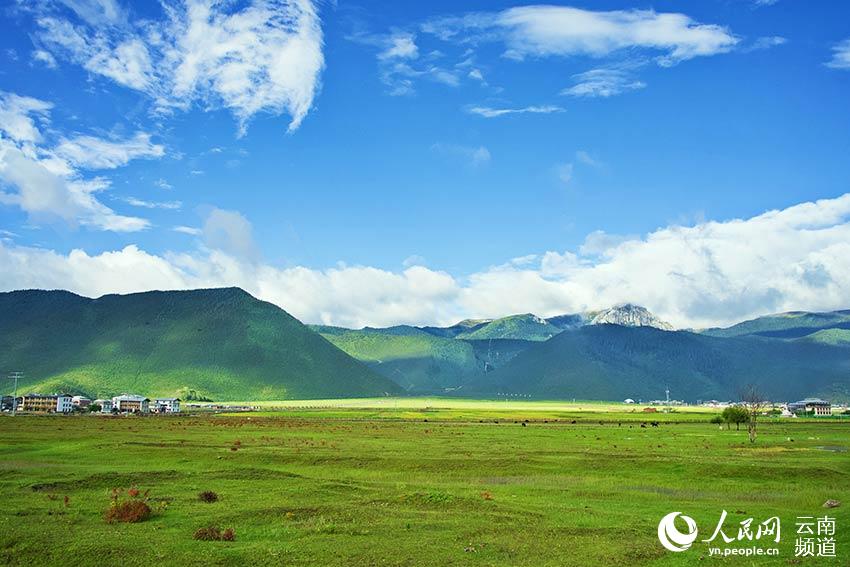 納帕海濕地風(fēng)景。呂昊辰攝