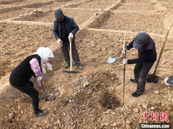 資料圖為建行青海省分行綠化區(qū)施工隊隊員處理亂石?！〗ㄐ星嗪Ｊ》中泄﹫D