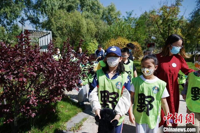 圖為小朋友在青海西寧湟水國家濕地公園內(nèi)認(rèn)識植物。　馬銘言 攝