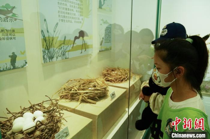 圖為小朋友在青海西寧湟水國家濕地公園科普館內(nèi)參觀學(xué)習(xí)。　馬銘言 攝