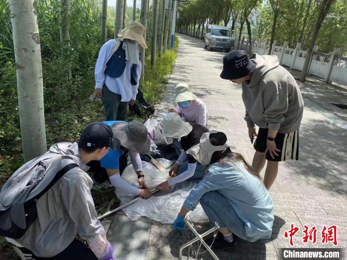 圖為科研人員正在進行監(jiān)測。　西寧湟水國家濕地公園供圖