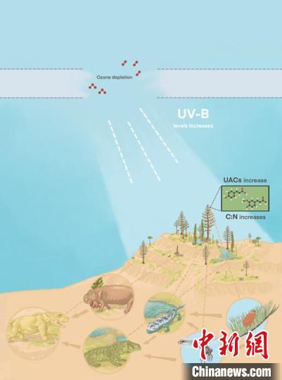 臭氧層破壞引起的紫外線輻射增加對陸地食物鏈的影響?！∧瞎潘?供圖