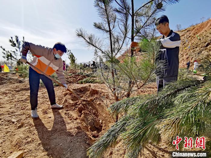 圖為西寧市城東區(qū)義務(wù)植樹(shù)活動(dòng)現(xiàn)場(chǎng)?！?zhí)砀?攝