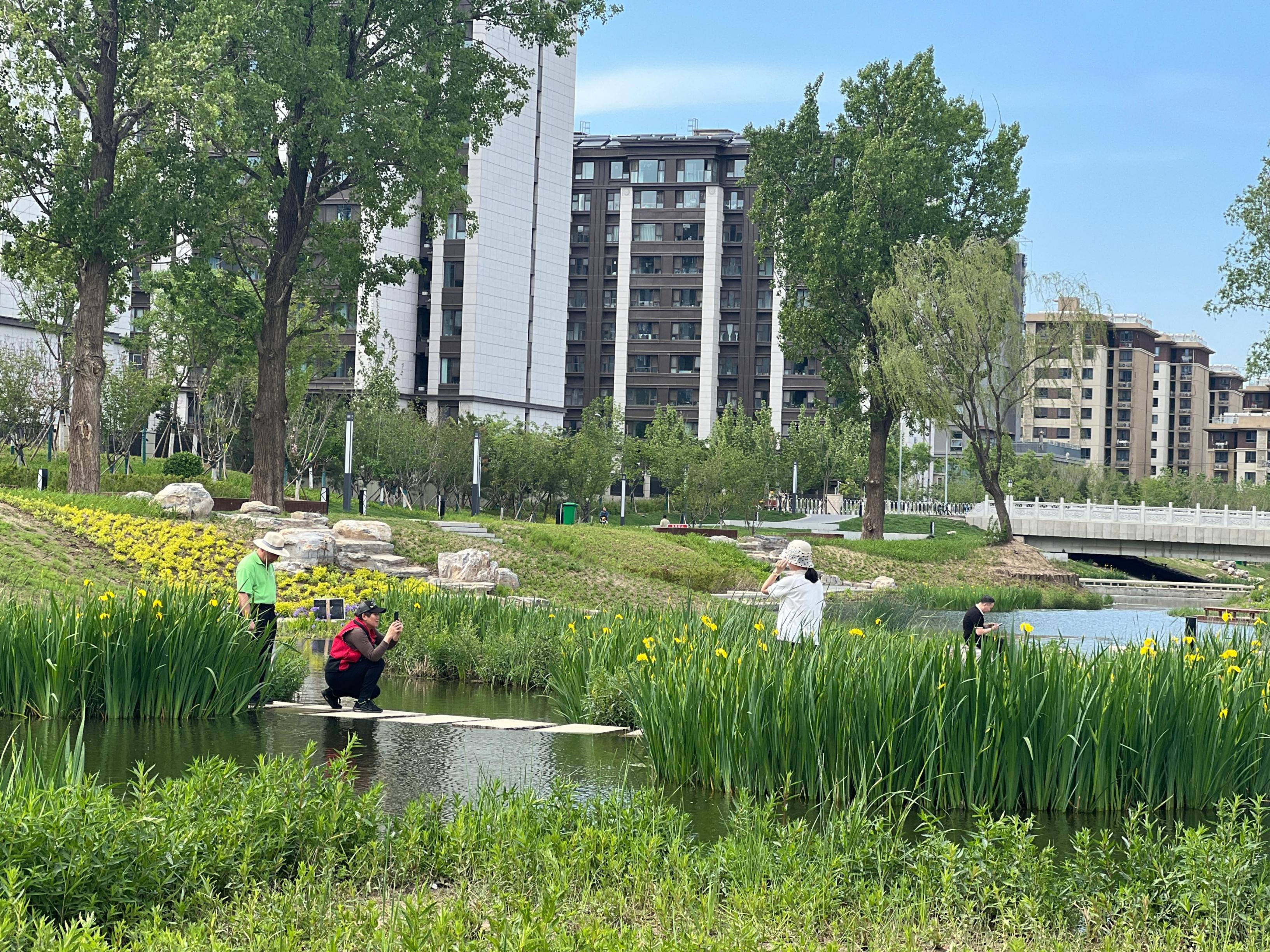 五一渠生態(tài)濱河公園內(nèi)，市民正在拍照留念。人民網(wǎng) 歐陽易佳攝