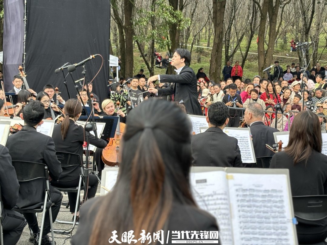 貴陽(yáng)路邊音樂(lè)會(huì)·貴安櫻花園專場(chǎng)交響樂(lè)現(xiàn)場(chǎng)。丁亞 文丹 攝