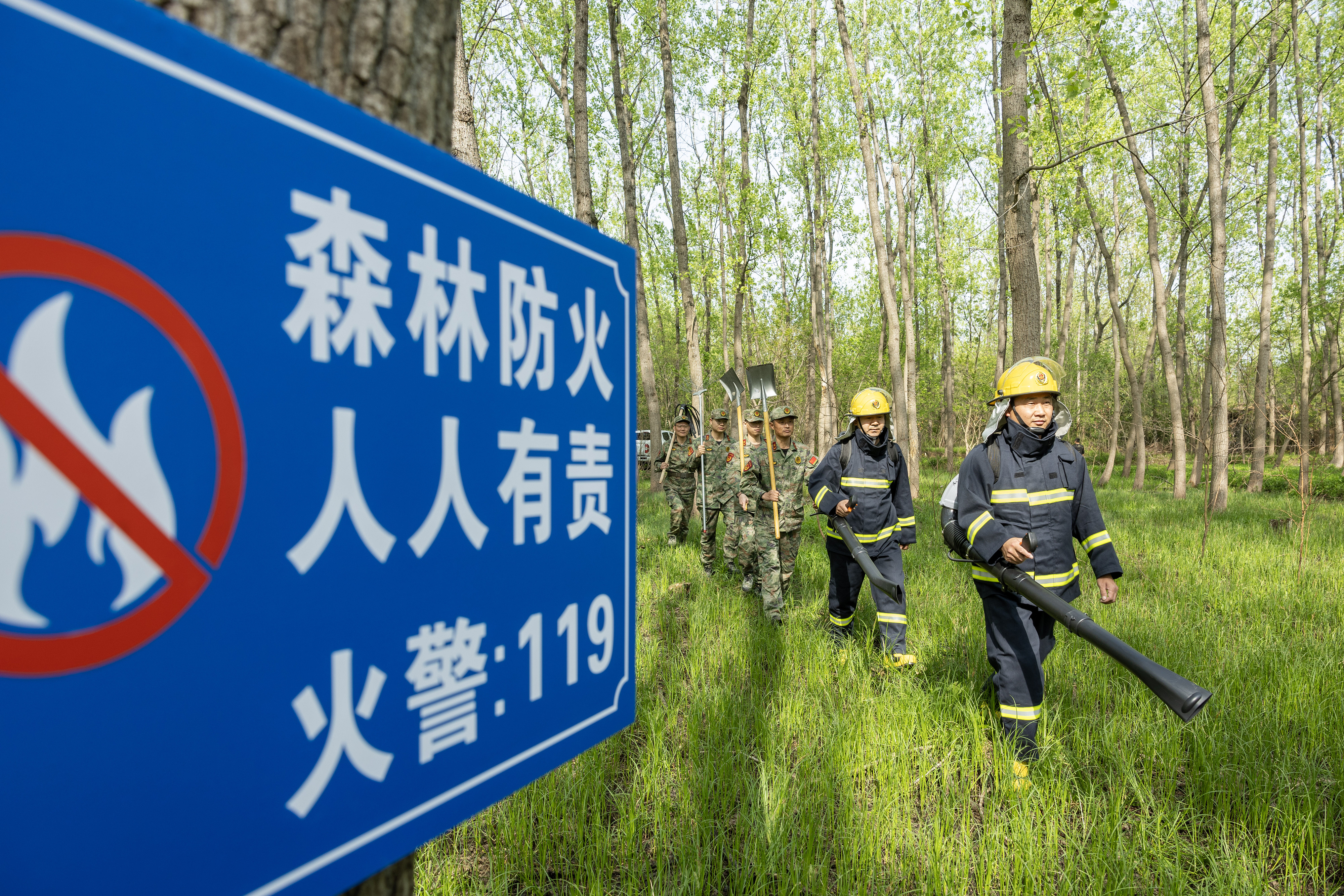 2024年4月9日，合肥市大房郢水庫水源保護(hù)地廬陽經(jīng)濟(jì)開發(fā)區(qū)段，基干民兵正在林間巡查火災(zāi)隱患。