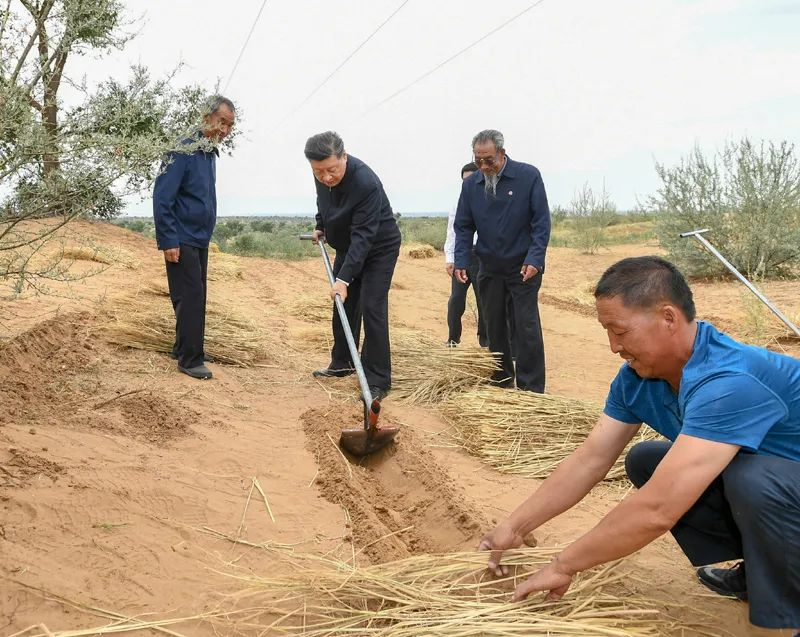 2019年8月21日，習(xí)近平來到甘肅省武威市古浪縣八步沙林場，實地察看當(dāng)?shù)刂紊吃炝帧⑸鷳B(tài)保護(hù)等情況。新華社記者 謝環(huán)馳 攝