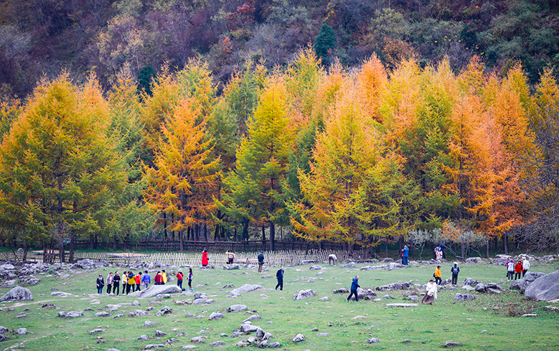 2023年10月27日，深秋時(shí)節(jié)的陜西秦嶺太子嶺漫山紅黃、色彩交織，進(jìn)入最佳觀賞期。