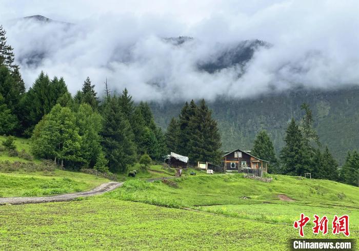 6月10日，魯朗小鎮(zhèn)高山牧場景區(qū)風(fēng)光?！∪轿木?攝