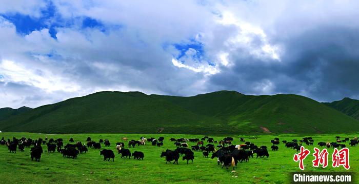 青海甘德縣成功創(chuàng)建國家級(jí)農(nóng)村產(chǎn)業(yè)融合發(fā)展示范園