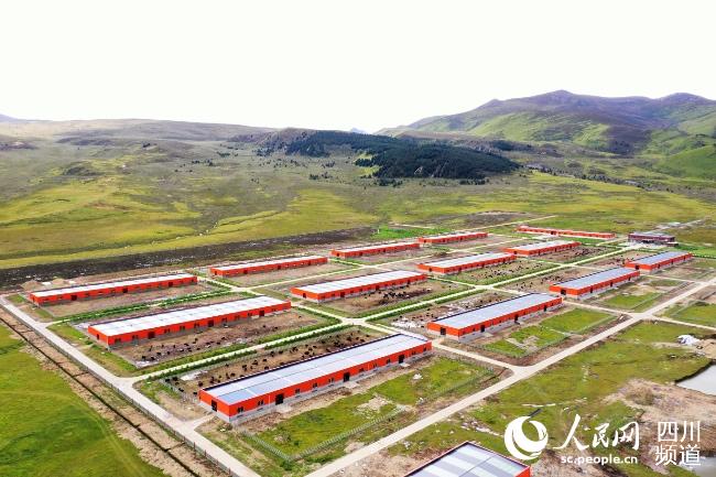 建設(shè)中的理塘縣牦牛產(chǎn)業(yè)園。葉強(qiáng)平攝