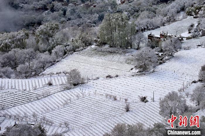 雪后的高山田間如畫?！±钣腊?攝