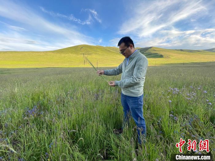 青海達(dá)日“援青縣長(zhǎng)”：雪域高原生態(tài)、民生“并蒂花開(kāi)”