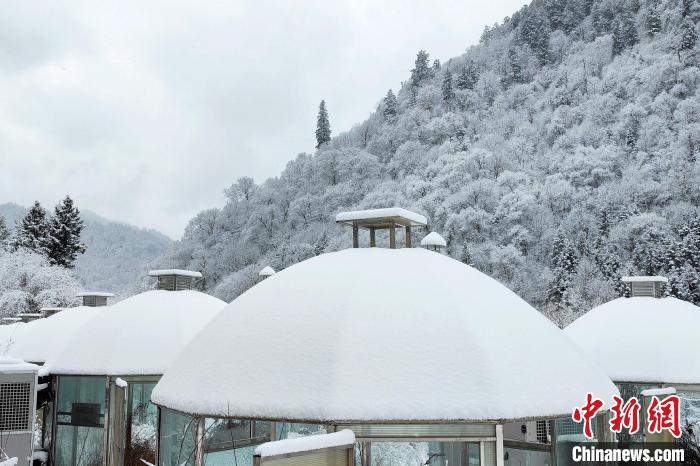 大熊貓國家公園王朗片區(qū)春雪如畫，宛若仙境?！×_春平 攝