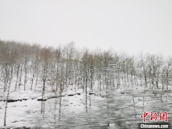 圖為青海青沙山區(qū)域被降雪覆蓋?！?zhí)砀?攝