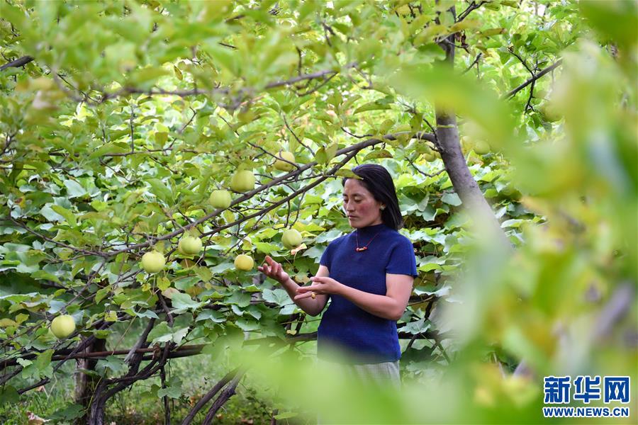 （決戰(zhàn)決勝脫貧攻堅(jiān)·圖文互動(dòng)）（2）從賣菜“小保姆”到農(nóng)家樂“老板”——其美拉姆的創(chuàng)業(yè)路