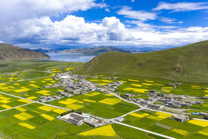 航拍道布龍村，依山傍水，阡陌縱橫。