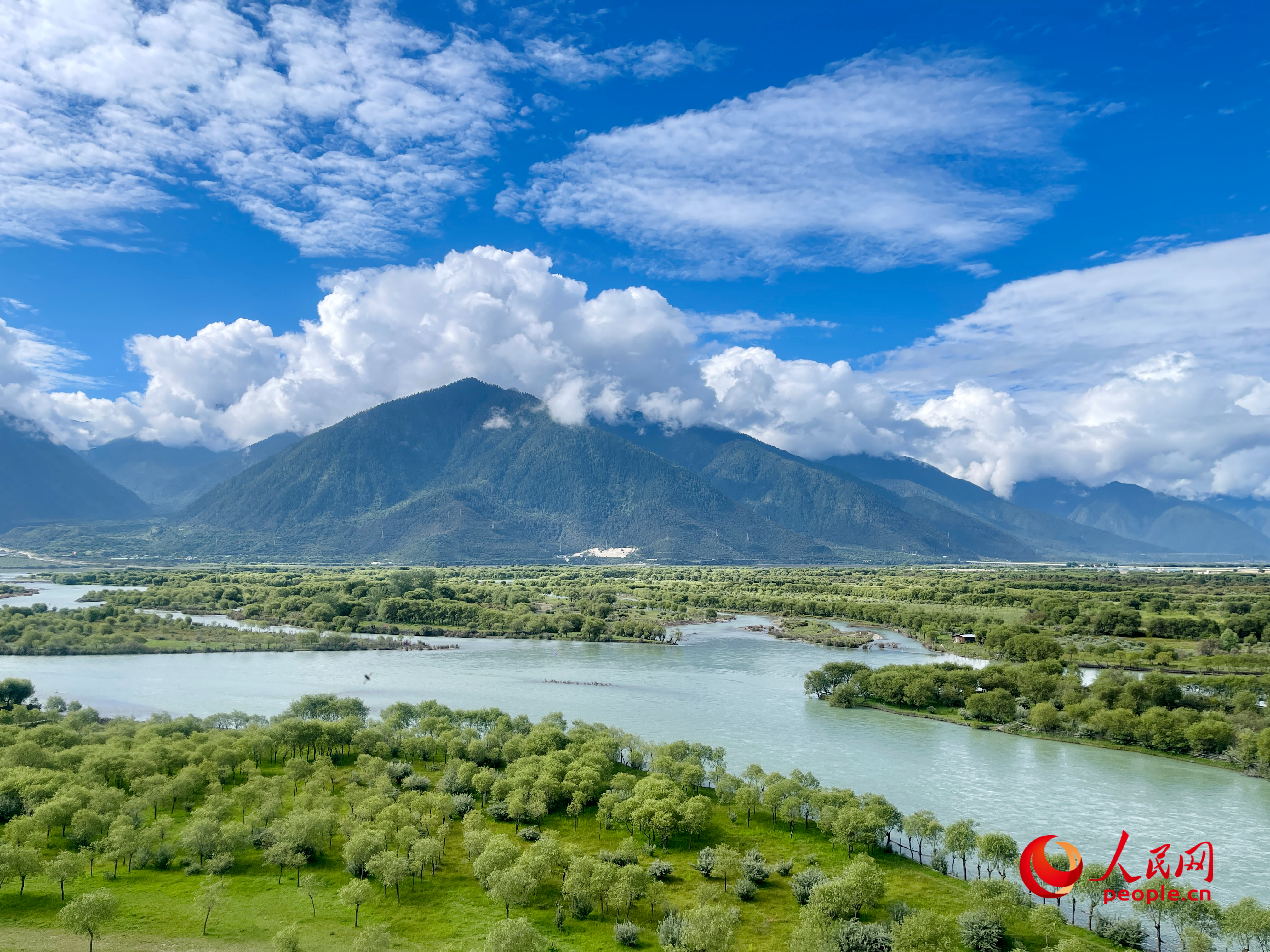 夏日的雅尼國家濕地公園生機(jī)盎然，如詩如畫。人民網(wǎng) 周靜圓攝