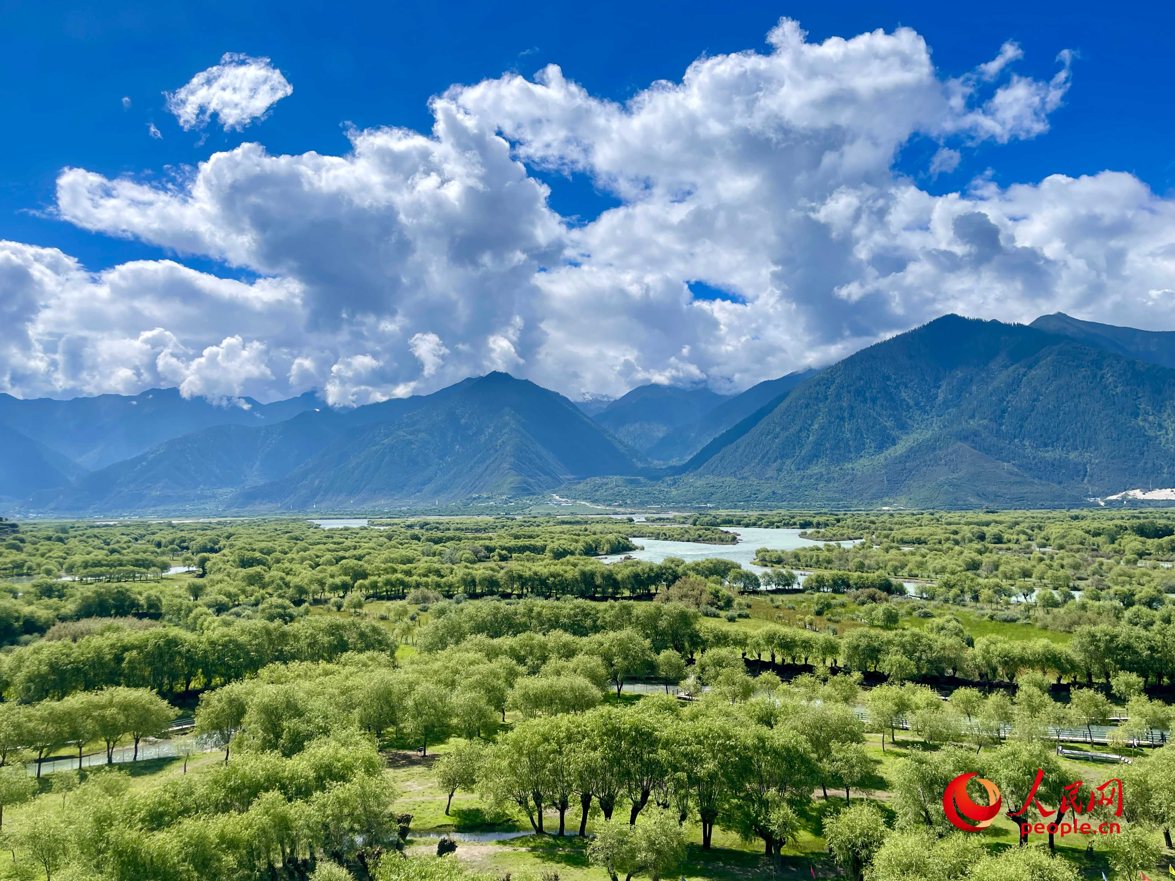 夏日的雅尼國(guó)家濕地公園生機(jī)盎然，如詩(shī)如畫(huà)。人民網(wǎng) 周靜圓攝