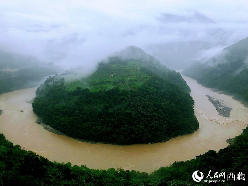 雅魯藏布江大峽谷蛇形拐彎處，山坡上種滿茶樹。