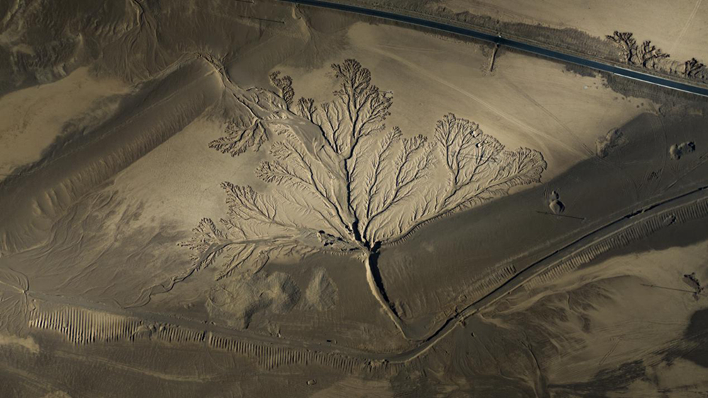 無人機(jī)視角下的西藏阿里地區(qū)改則縣“大地之樹”景觀。尼瑪多吉攝