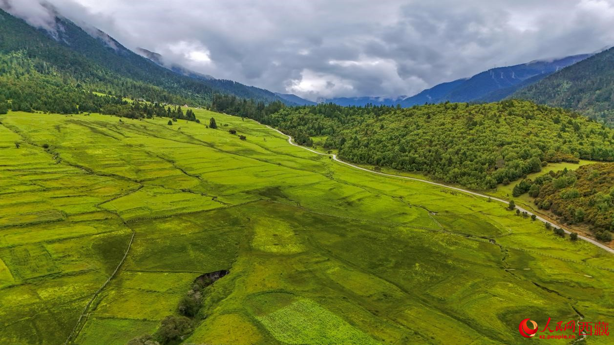 圖為航拍高山牧場(chǎng)鳥瞰圖。人民網(wǎng)記者 次仁羅布攝