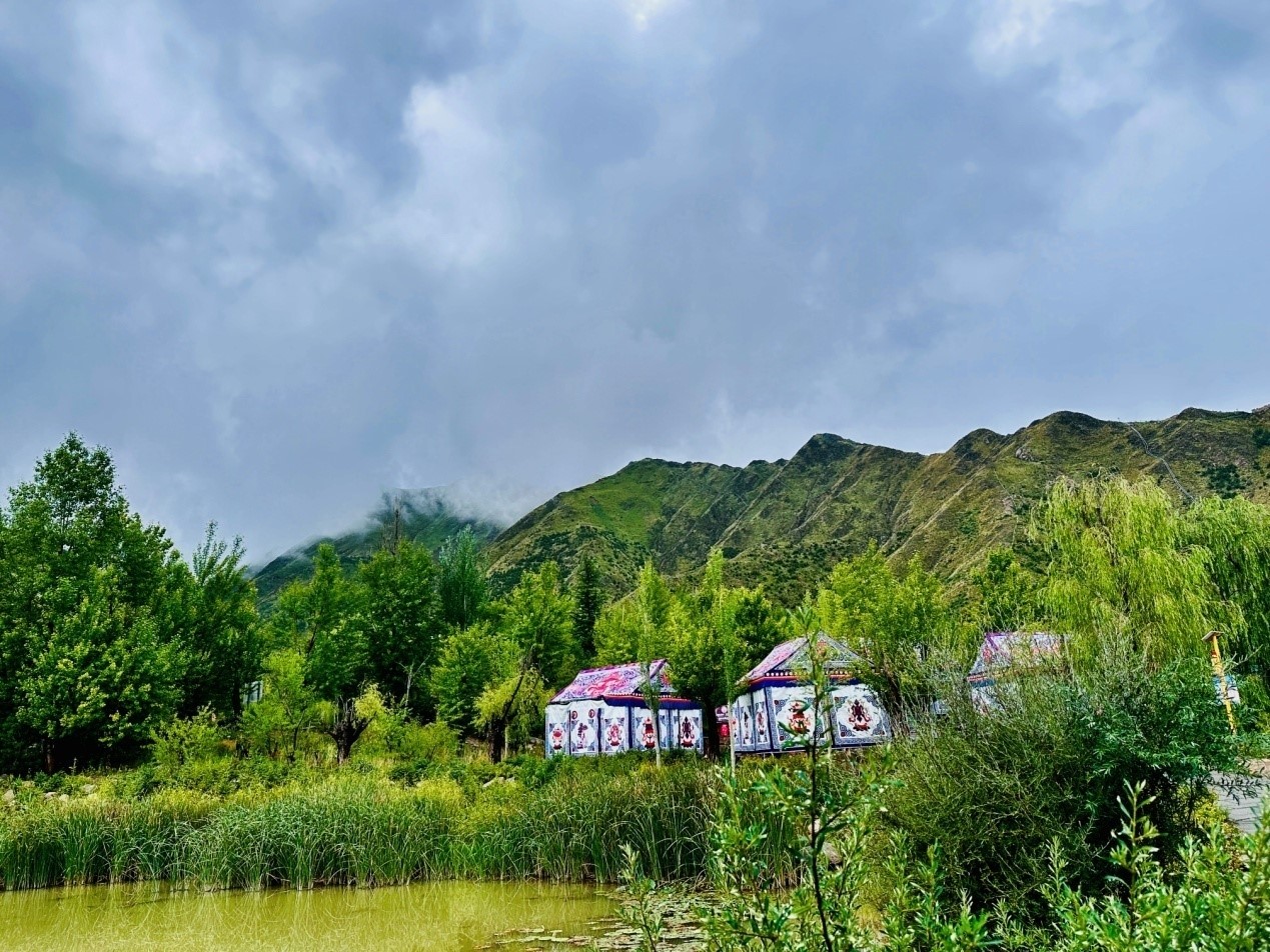 郁郁蔥蔥的南山公園。人民網(wǎng)記者 益西康珠攝