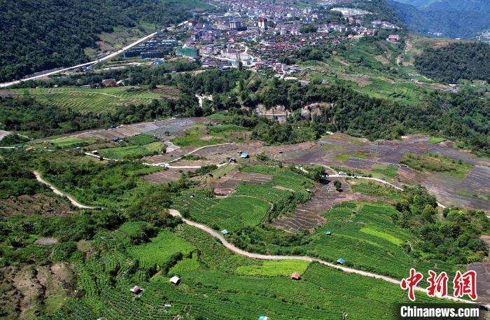 圖為西藏林芝市墨脫縣城附近的茶田。(無(wú)人機(jī)照片) 李林 攝